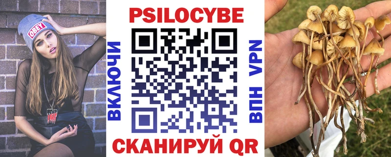 купить наркоту  Закаменск  Галлюциногенные грибы Psilocybe 