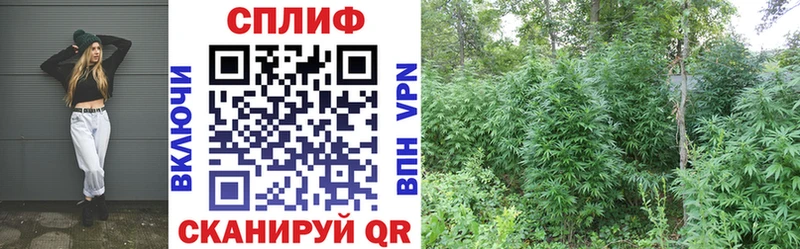 Шишки марихуана VHQ  Закаменск 